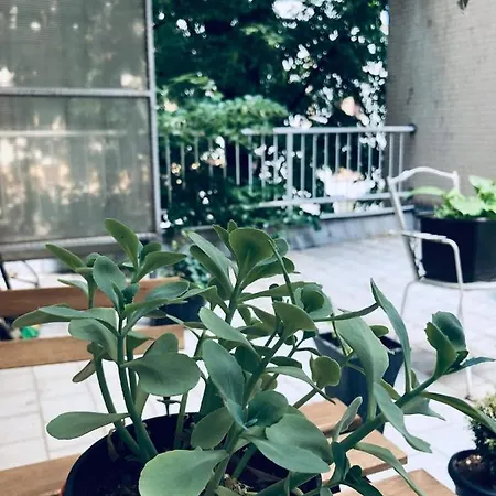 Apartment Lita *